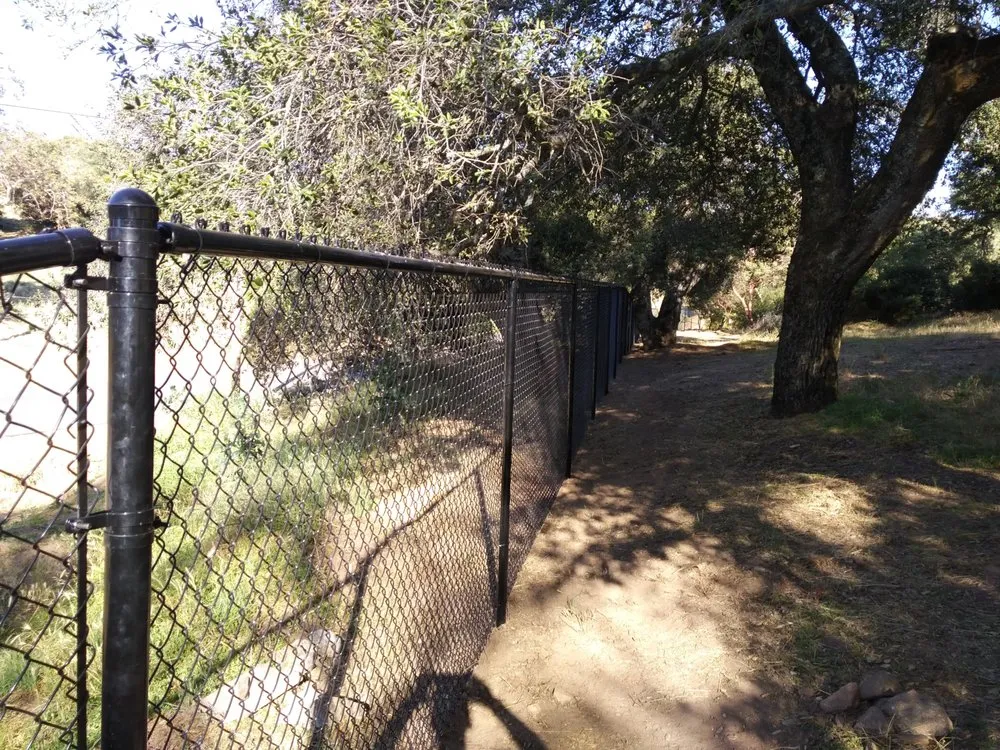 Expert yard cleanup service experts serving Descanso, CA - Amos Fence