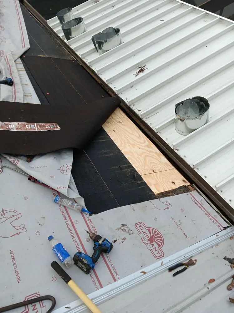 Reliable yard cleanup service in Dunnellon, FL - Amos Mills Handyman Services