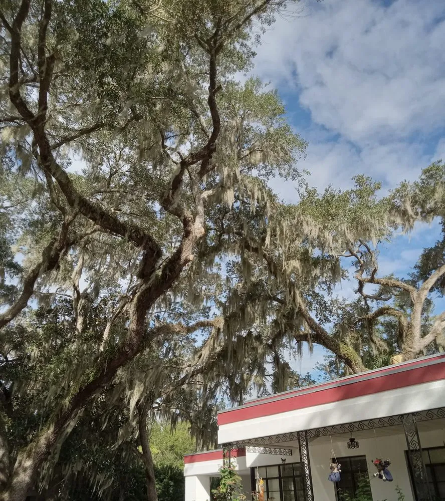 Reliable landscaping services experts serving Dunnellon, FL - Amos Mills Handyman Services