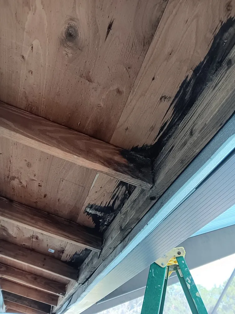 Expert residential landscaping in Dunnellon, FL - Amos Mills Handyman Services