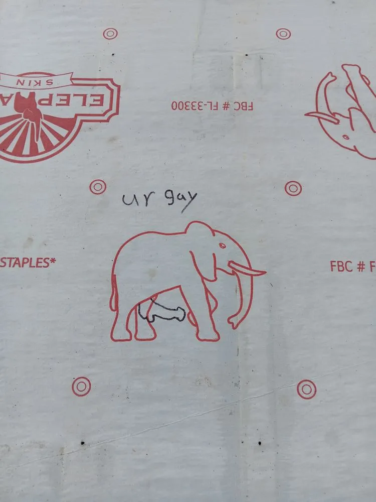 Professional lawn mowing service in Dunnellon, FL - Amos Mills Handyman Services