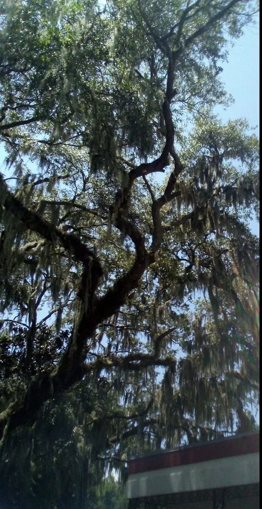 Reliable garden landscaping for outdoor upgrades in Dunnellon, FL by Amos Mills Handyman Services