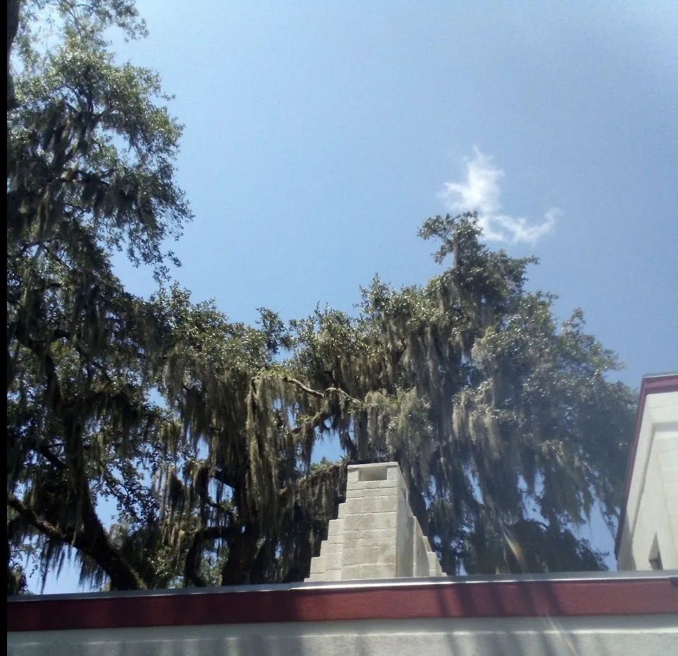 Expert lawn care service in Dunnellon, FL - Amos Mills Handyman Services