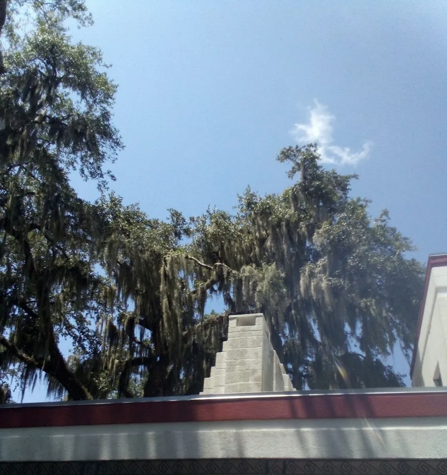 Trusted residential landscaping near you in Dunnellon, FL by Amos Mills Handyman Services