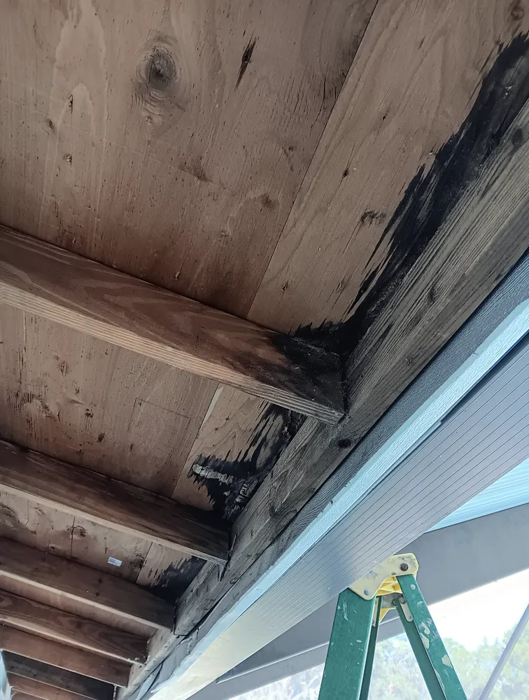 Professional landscaping services for beautiful yards in Dunnellon, FL by Amos Mills Handyman Services