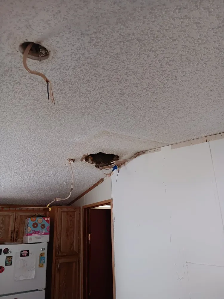 Top-rated landscape installation experts serving Dunnellon, FL - Amos Mills Handyman Services