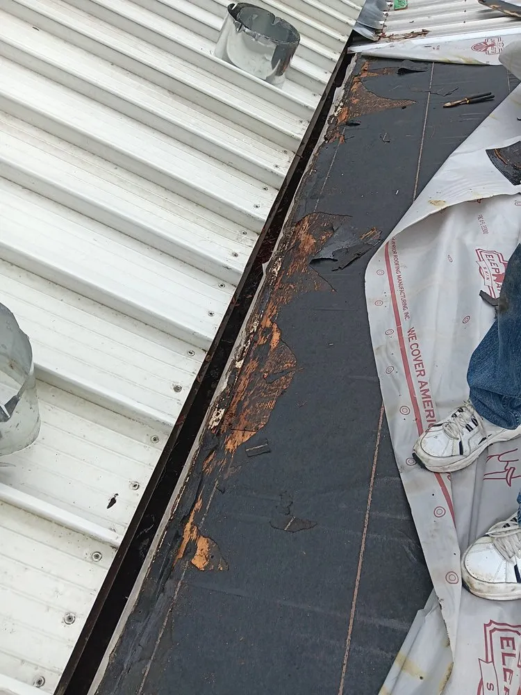 Trusted landscaping services near you in Dunnellon, FL by Amos Mills Handyman Services