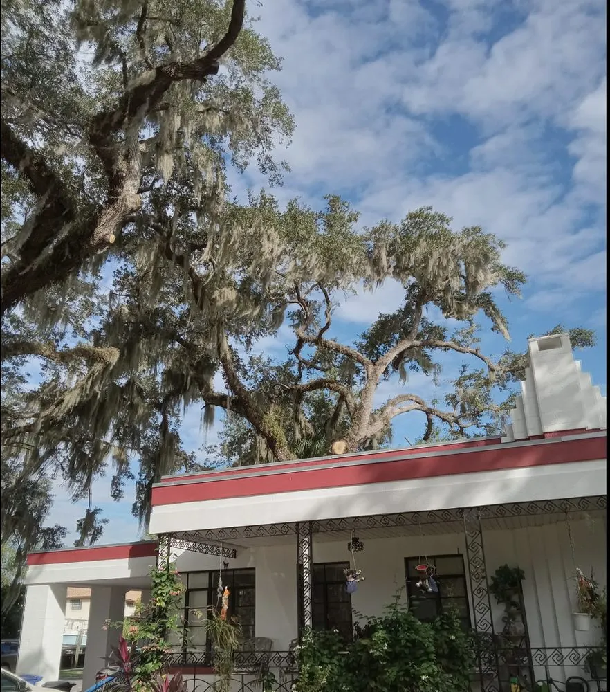 Local landscape installation experts serving Dunnellon, FL - Amos Mills Handyman Services