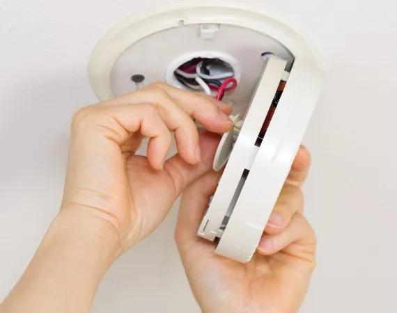 Professional residential landscaping experts serving Corpus Christi, TX - AMP Electrical and Exterior