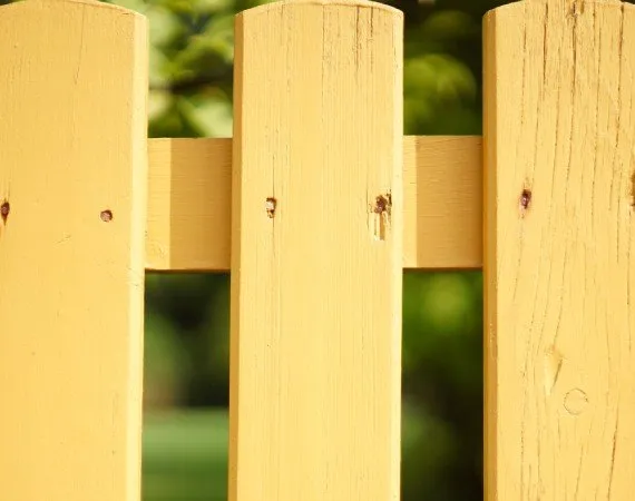 Reliable landscape installation in Corpus Christi, TX by AMP Electrical and Exterior