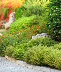 Custom landscape design for outdoor upgrades across Corpus Christi, TX - AMP Electrical and Exterior