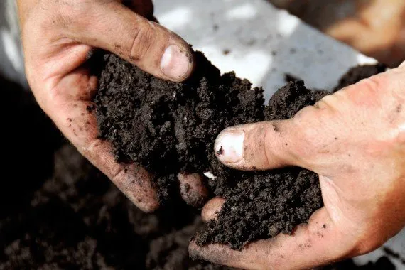 Professional garden landscaping for residential properties in Corpus Christi, TX by AMP Electrical and Exterior