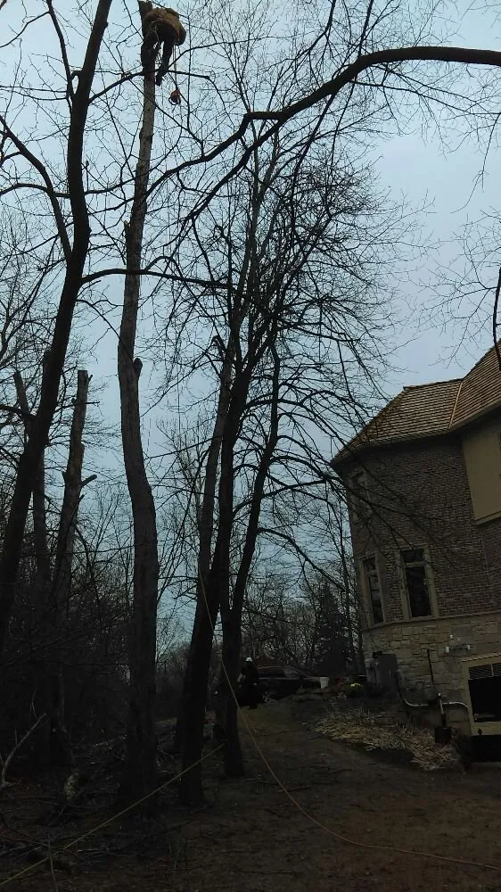 Custom lawn mowing service in Long Grove, IL - AMP Enterprise