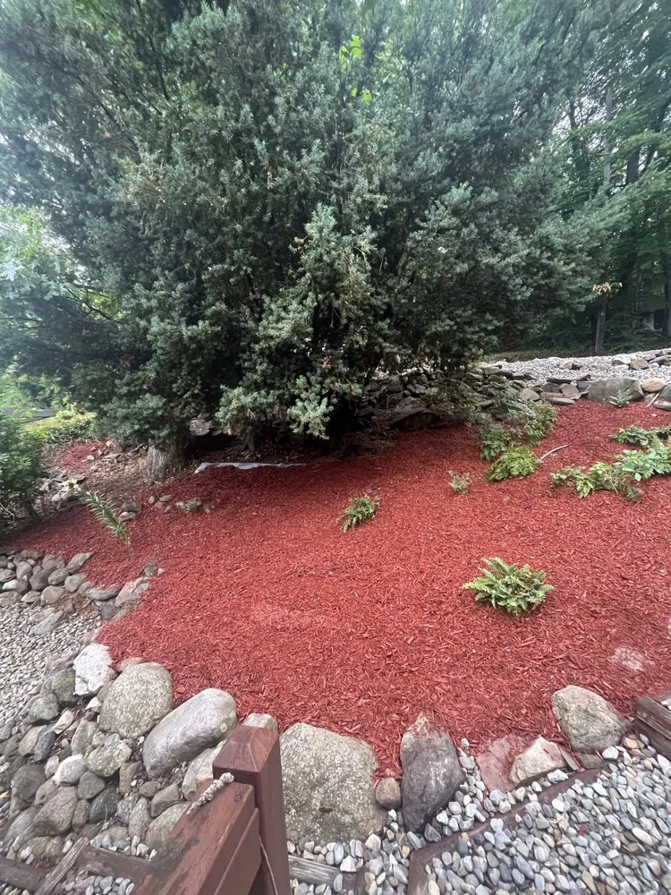 Affordable lawn care service near you across Dover, NJ - Amp Landscaping