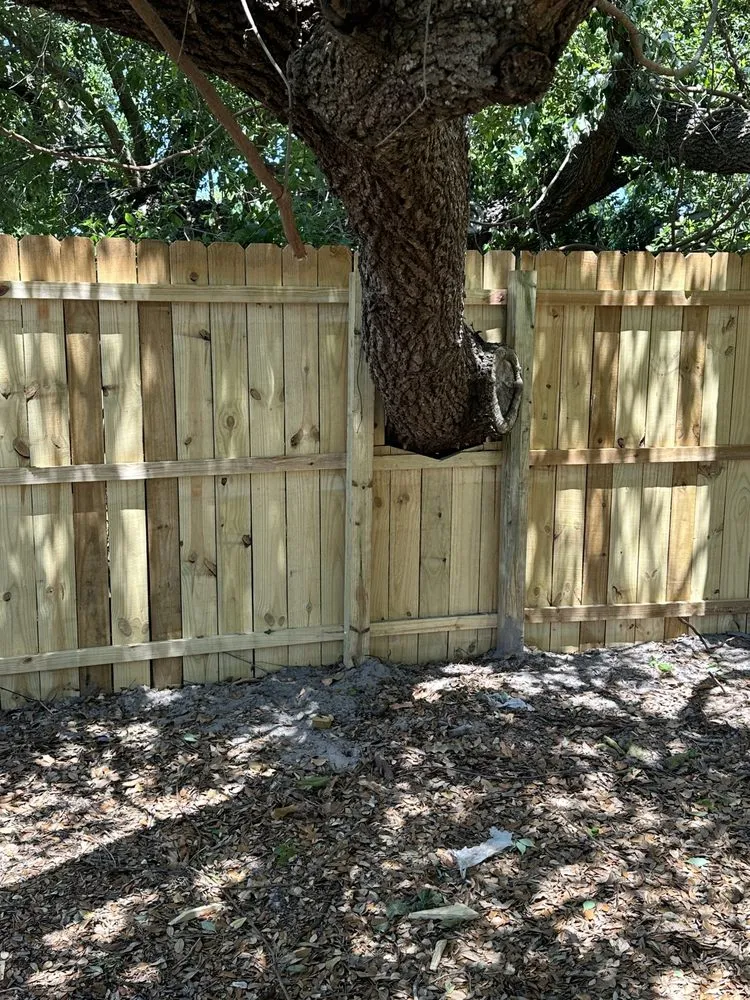 Local garden landscaping in Tampa, FL - AMP Landscaping