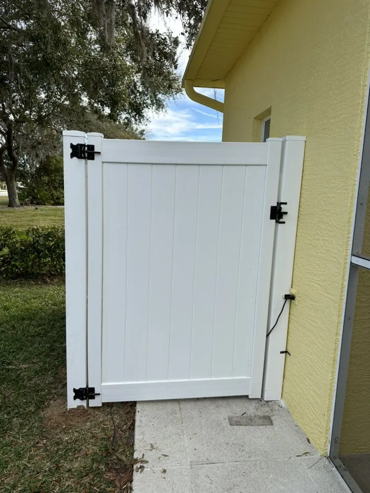 Professional outdoor landscaping in Tampa, FL by AMP Landscaping