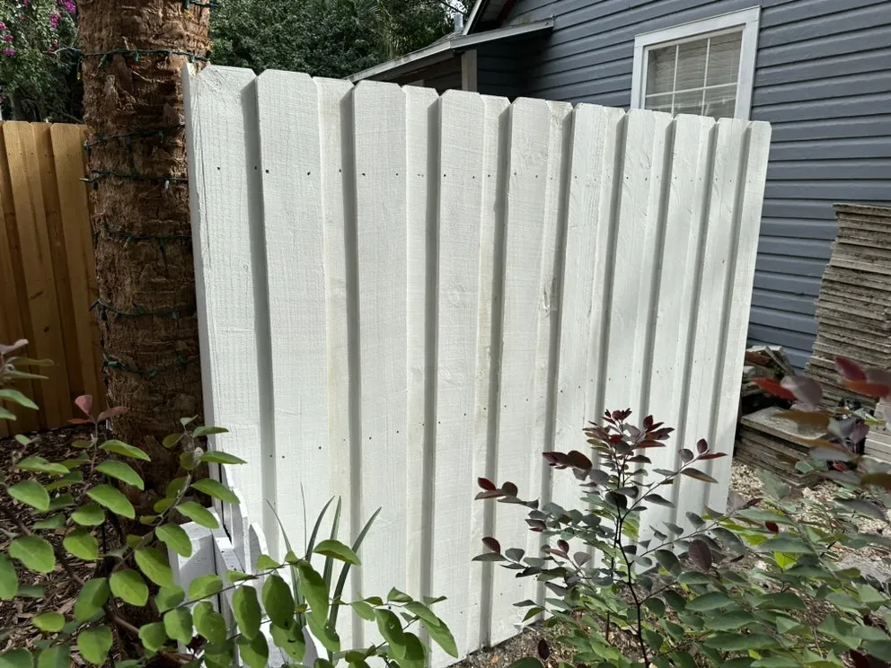 Affordable residential landscaping for year-round maintenance in Tampa, FL by AMP Landscaping