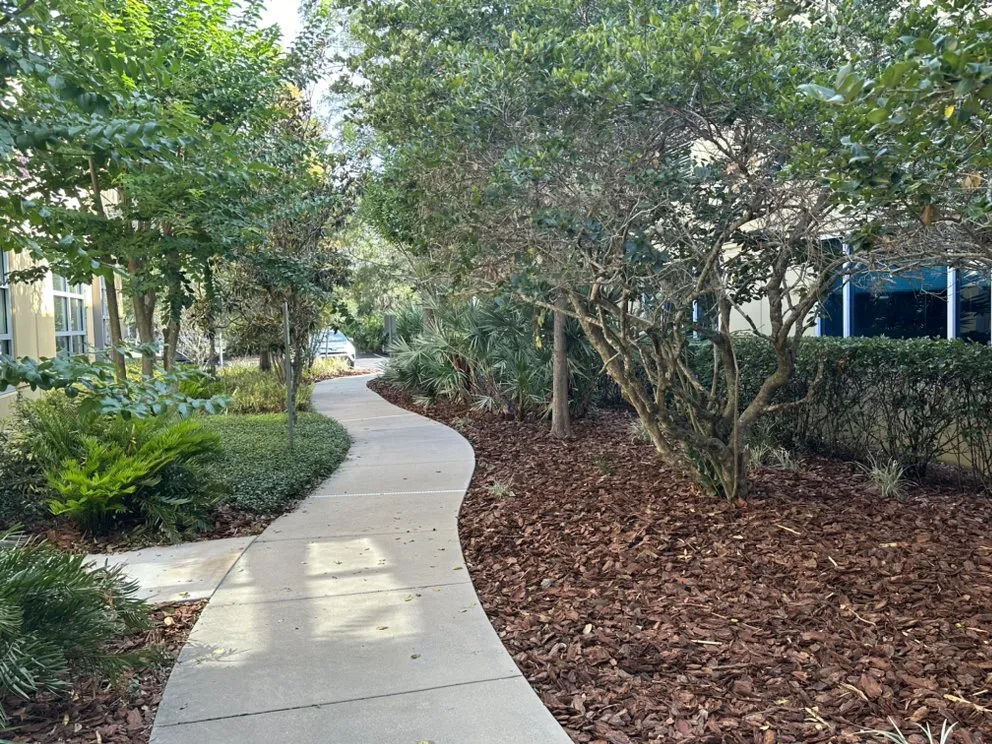Local yard maintenance experts serving Tampa, FL - AMP Landscaping