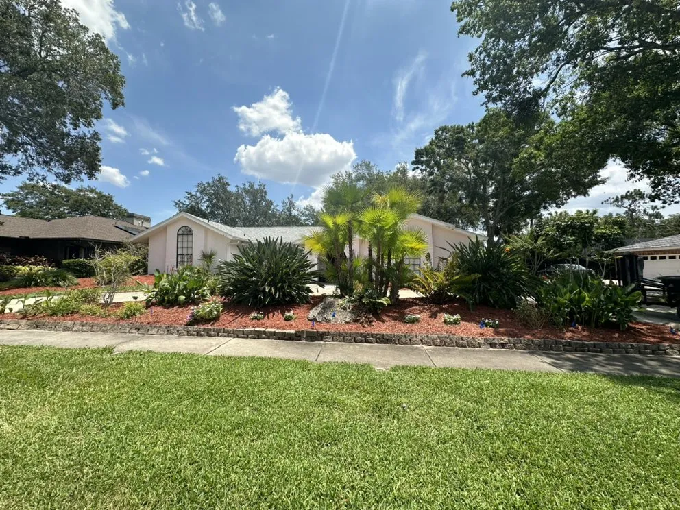 Affordable lawn care service in Tampa, FL by AMP Landscaping