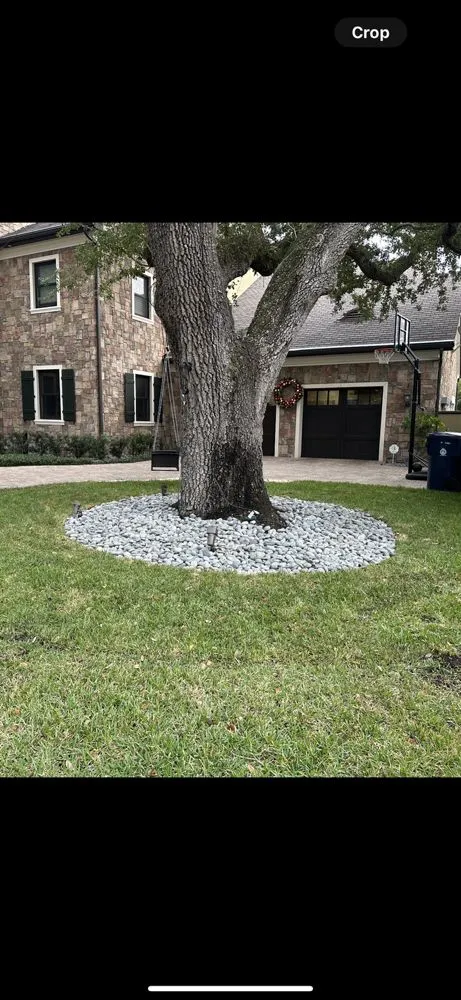 Affordable outdoor landscaping experts serving Tampa, FL - AMP Landscaping