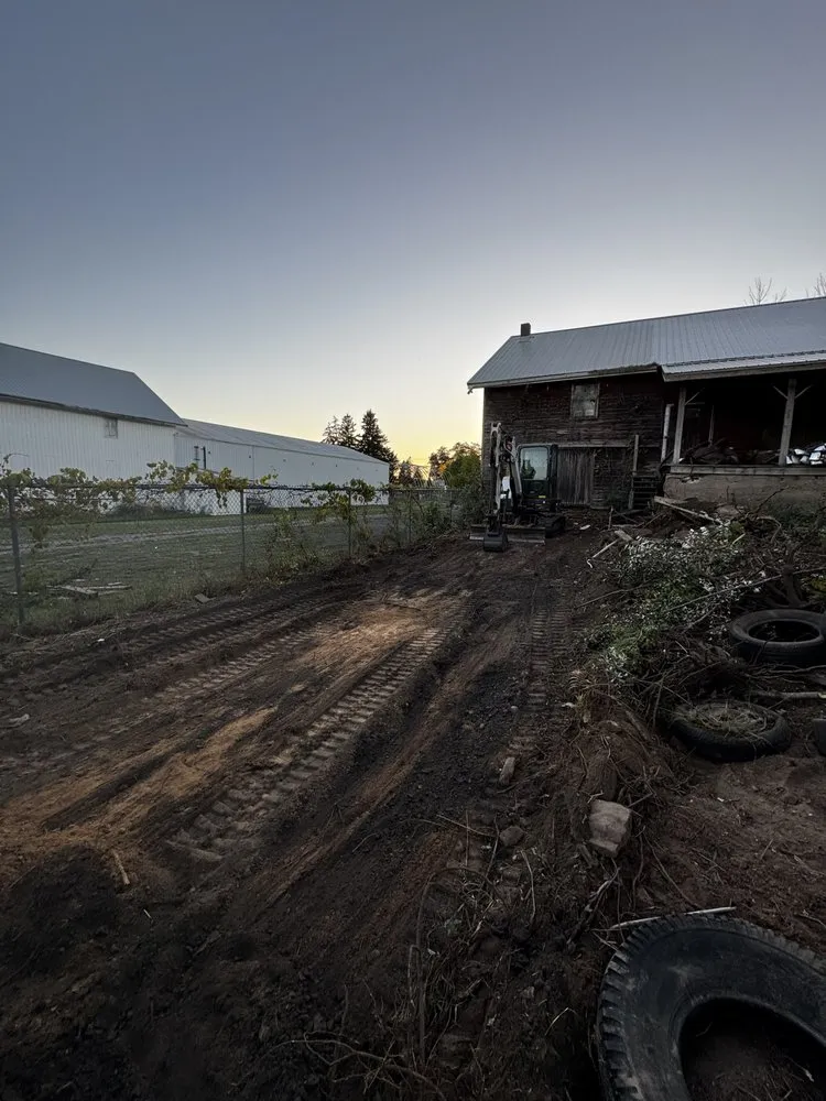 Affordable yard cleanup service for beautiful yards across Waterport, NY - Amp Lawn Care Service