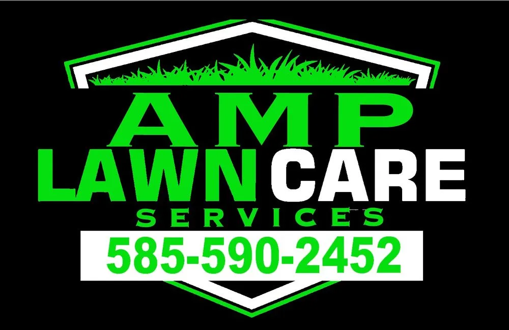 Custom yard cleanup service in Waterport, NY - Amp Lawn Care Service