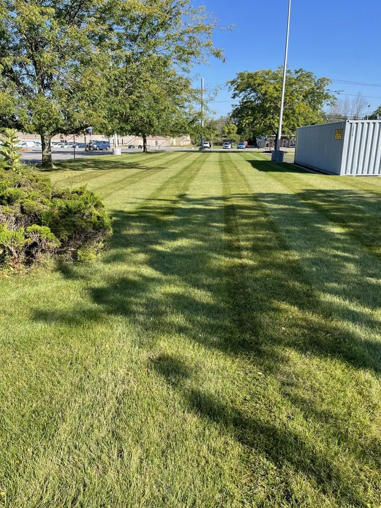 Custom lawn care service experts serving Waterport, NY - Amp Lawn Care Service
