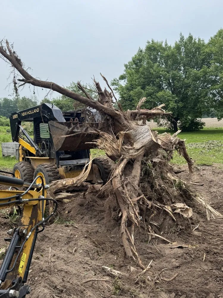 Custom yard cleanup service for homes across Waterport, NY - Amp Lawn Care Service