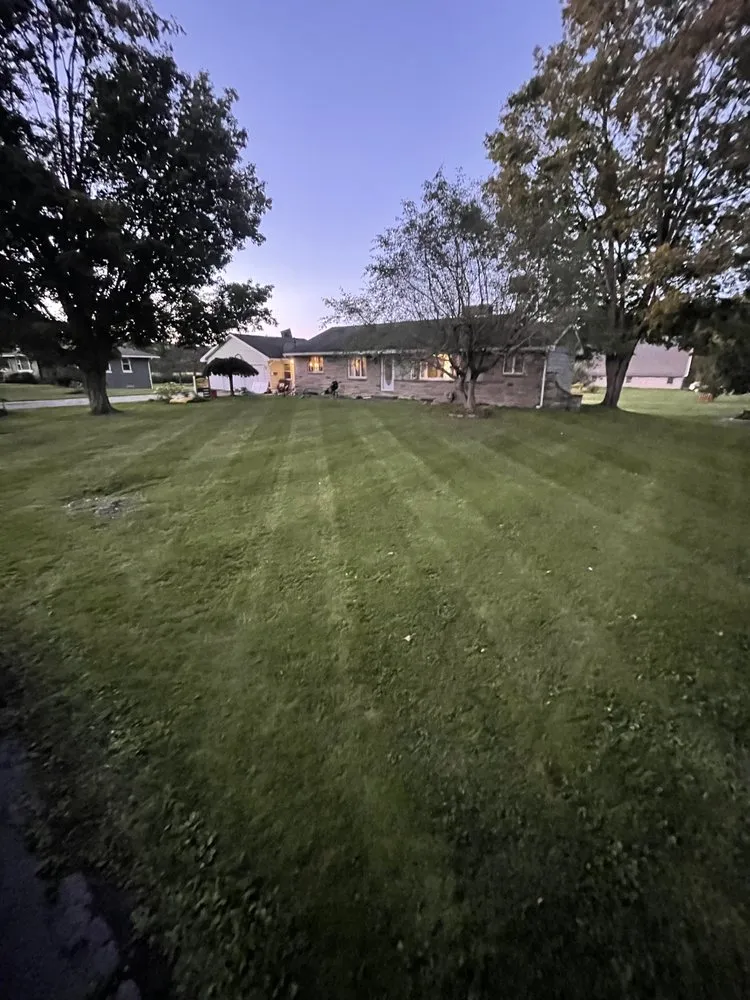 Affordable garden landscaping for beautiful yards across Waterport, NY - Amp Lawn Care Service