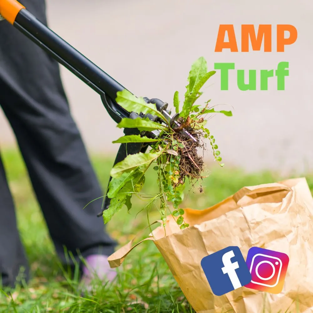 Affordable landscape installation in Huntersville, NC by AMP Turf