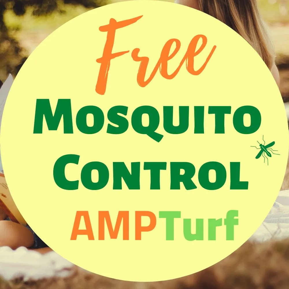 Local lawn care service for outdoor upgrades across Huntersville, NC - AMP Turf