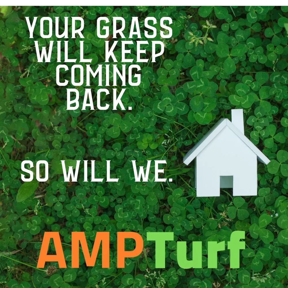 Reliable lawn mowing service for year-round maintenance across Huntersville, NC - AMP Turf