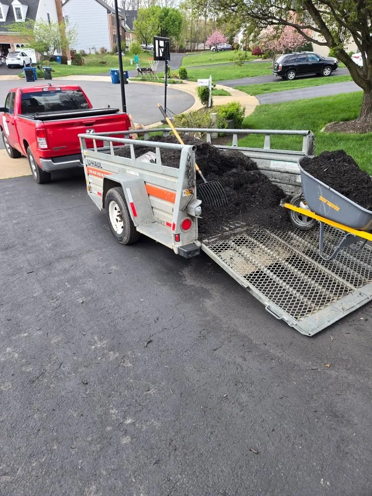 Affordable lawn mowing service for homes across Winchester, VA - Amperdutch