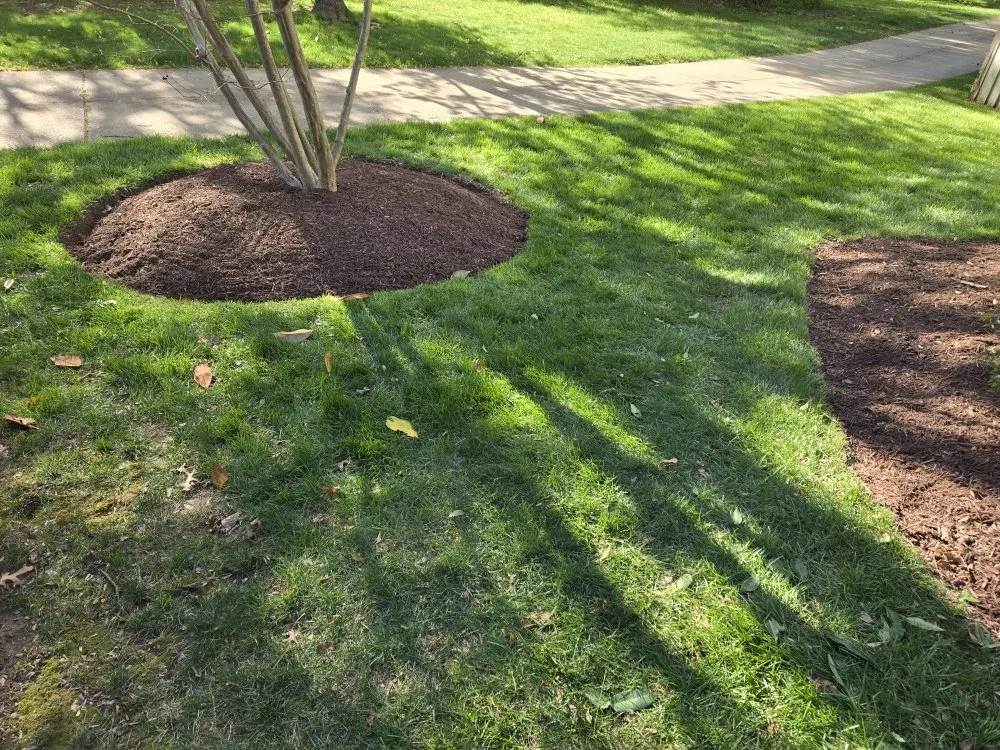 Trusted garden landscaping in Winchester, VA by Amperdutch