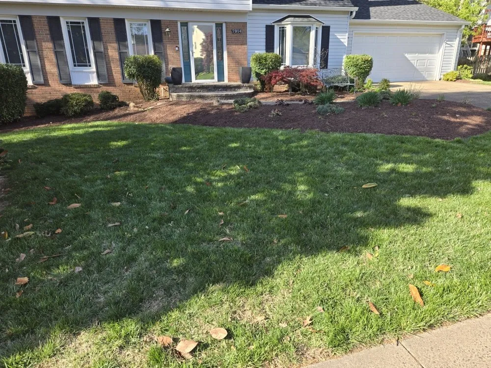 Reliable yard cleanup service in Winchester, VA - Amperdutch