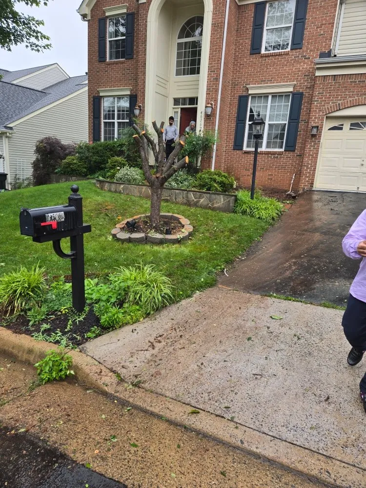 Affordable landscaping services for year-round maintenance in Winchester, VA by Amperdutch