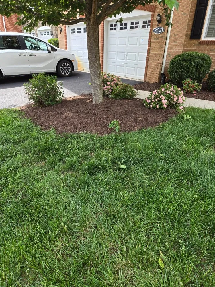 Local yard maintenance in Winchester, VA by Amperdutch
