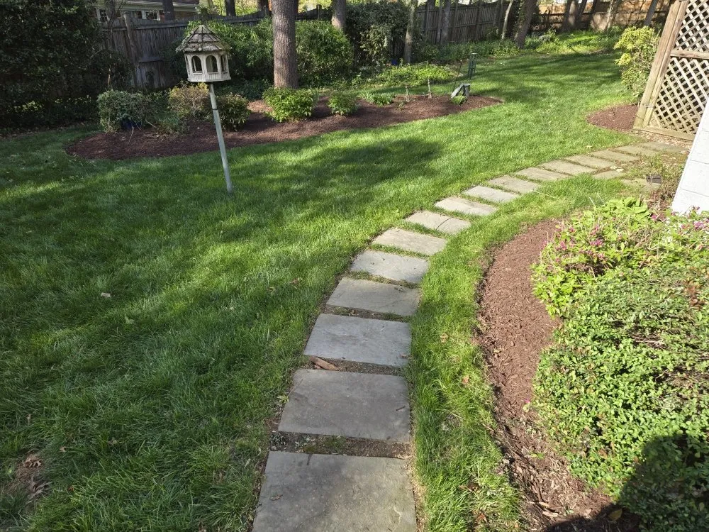 Professional lawn mowing service for residential properties in Winchester, VA by Amperdutch