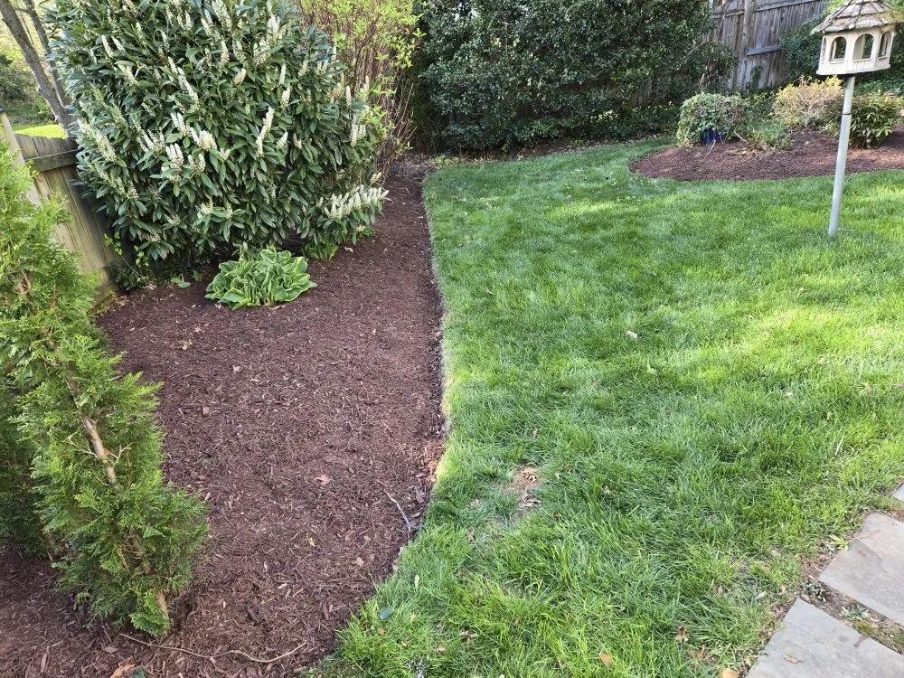 Expert yard maintenance in Winchester, VA - Amperdutch