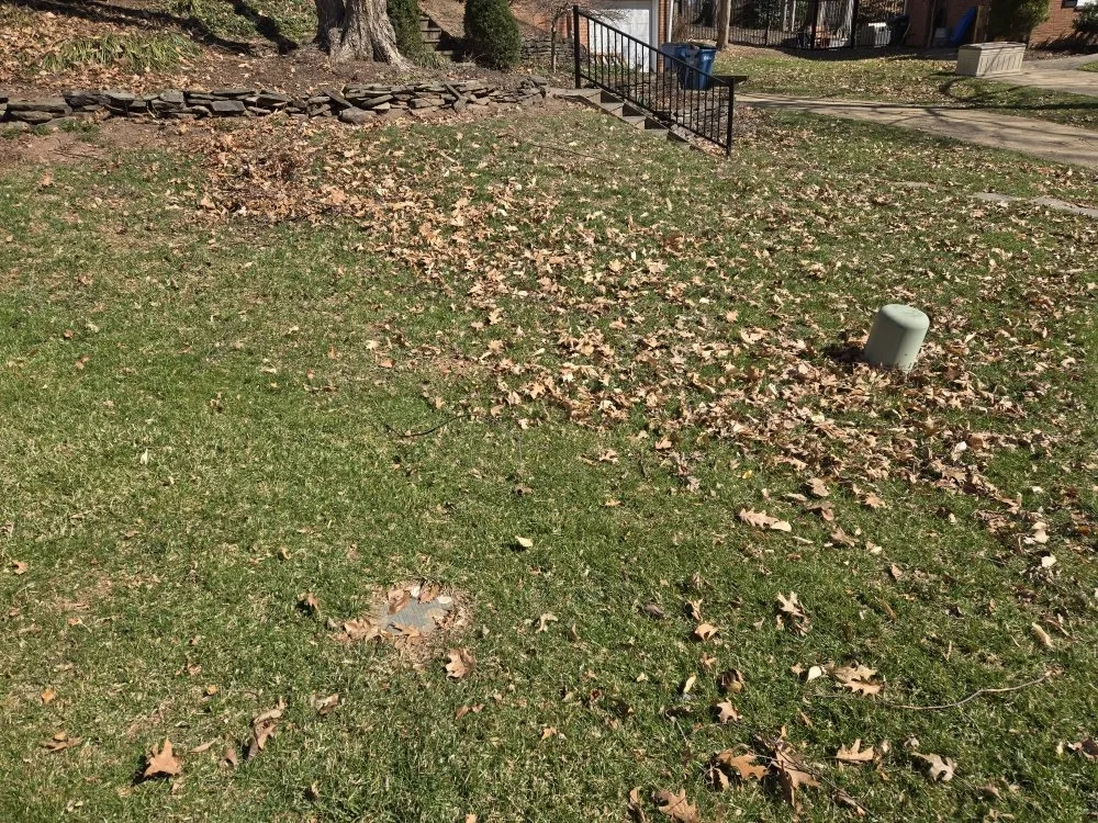 Top-rated landscaping services in Winchester, VA by Amperdutch