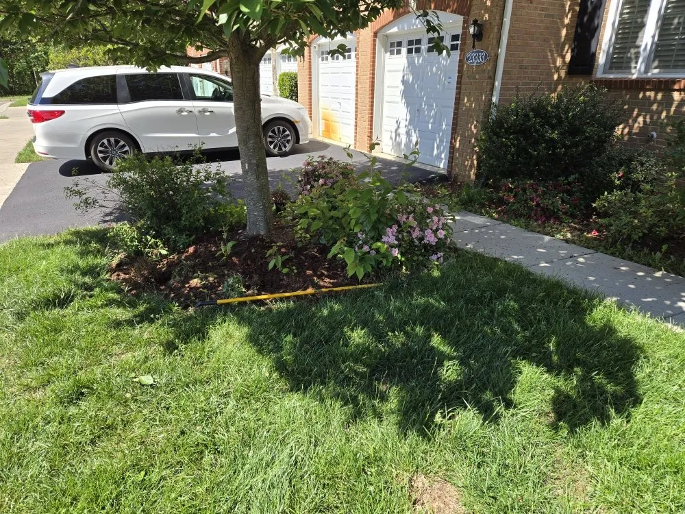 Affordable landscaping services near you in Winchester, VA by Amperdutch