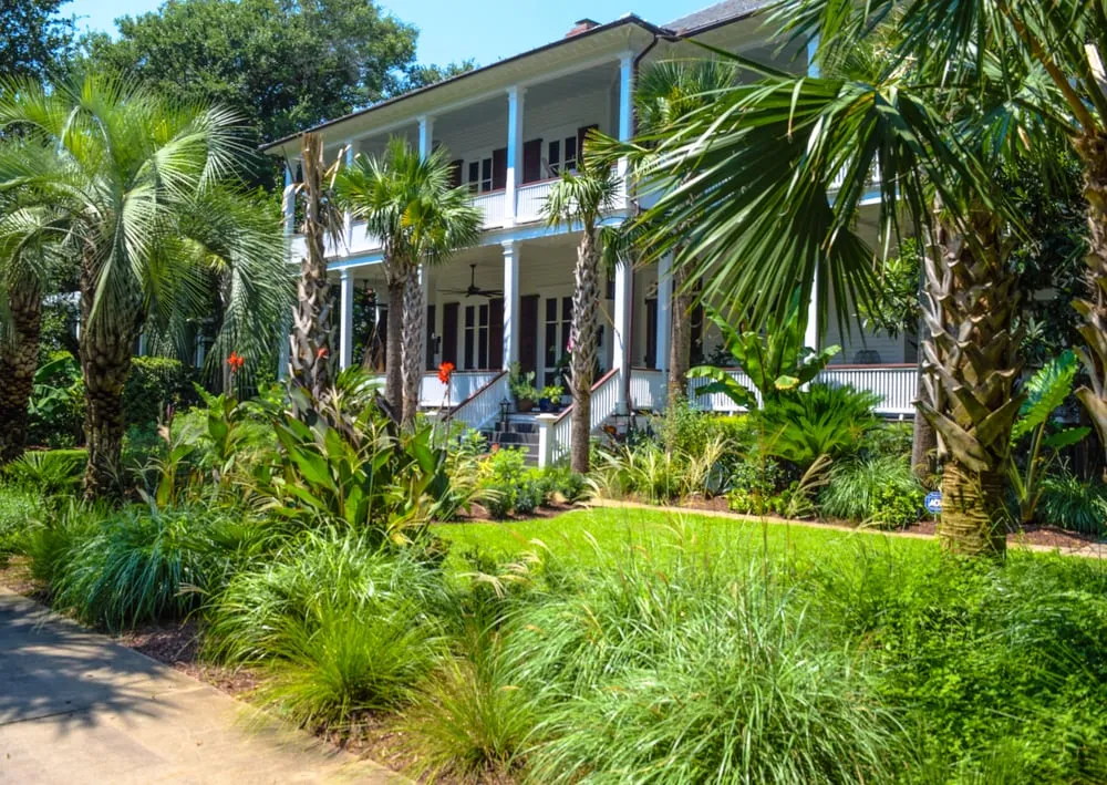 Custom lawn care service in Mount Pleasant, SC by Ampersand Landscaping