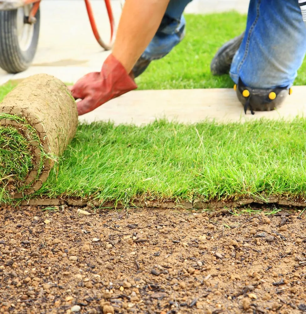 Professional landscape installation experts serving Mount Pleasant, SC - Ampersand Landscaping