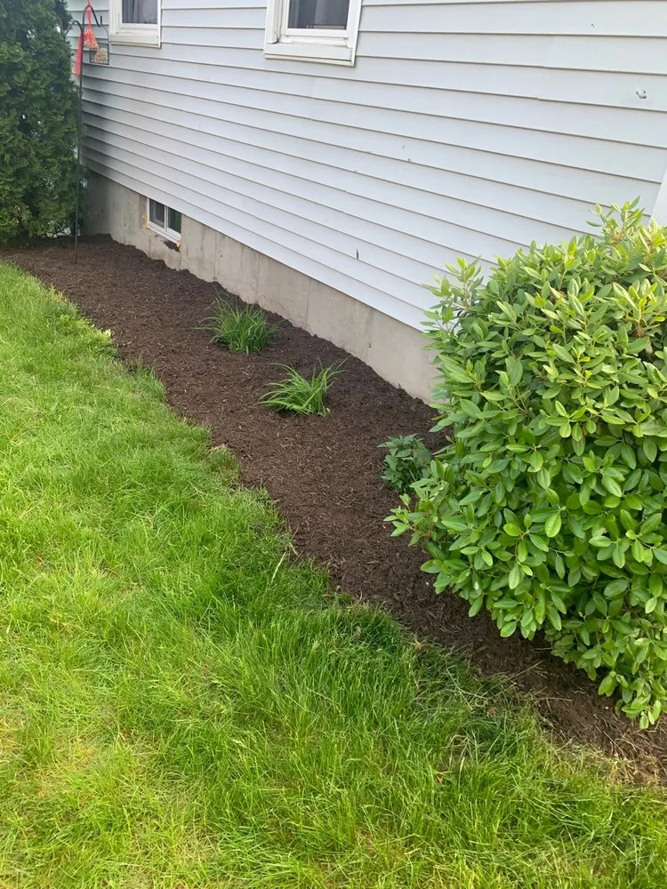 Expert landscaping services for year-round maintenance across South Hadley, MA - Amplified Landscaping
