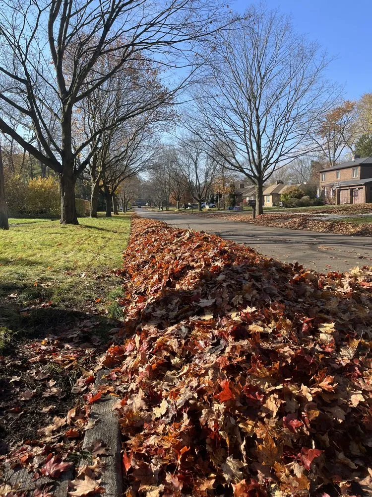 Expert garden landscaping experts serving Midland, MI - Amplify Landscaping