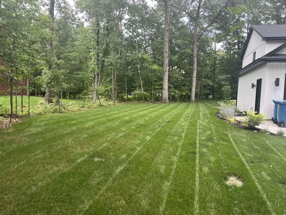 Affordable yard cleanup service in Midland, MI by Amplify Landscaping