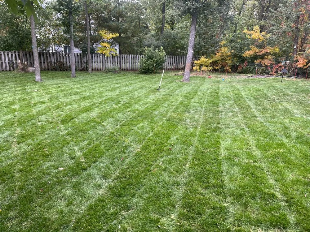 Affordable landscaping services for year-round maintenance across Midland, MI - Amplify Landscaping