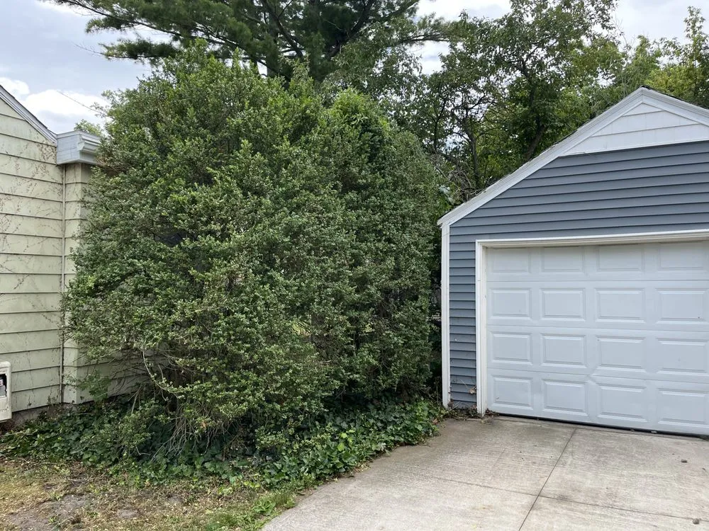 Top-rated landscape installation experts serving Midland, MI - Amplify Landscaping