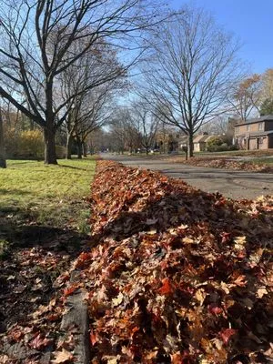Amplify Landscaping Logo