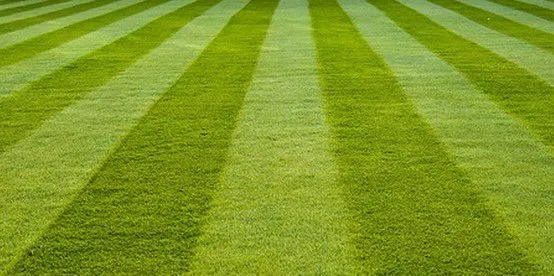 Custom outdoor landscaping experts serving Dayton, OH - A.M.R. Home Improvement & Landscaping